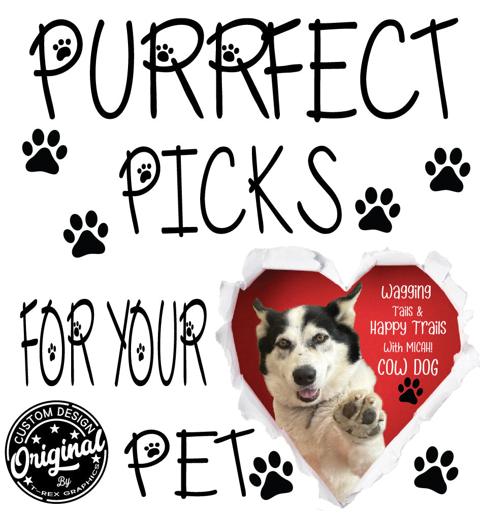 PURRFECT PICKS FOR YOUR PET