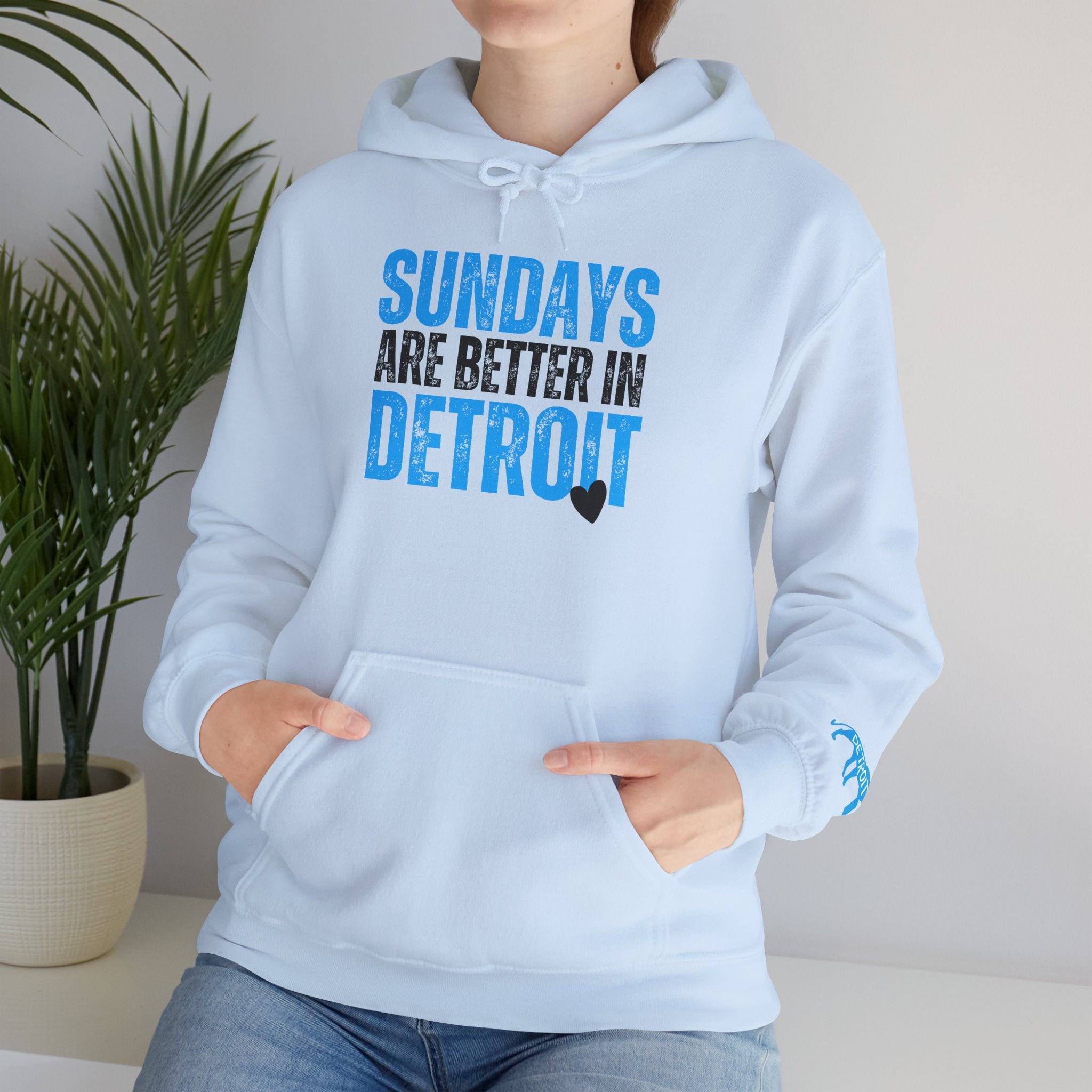LIONS Sundays Are Better In Detroit Hoodie
