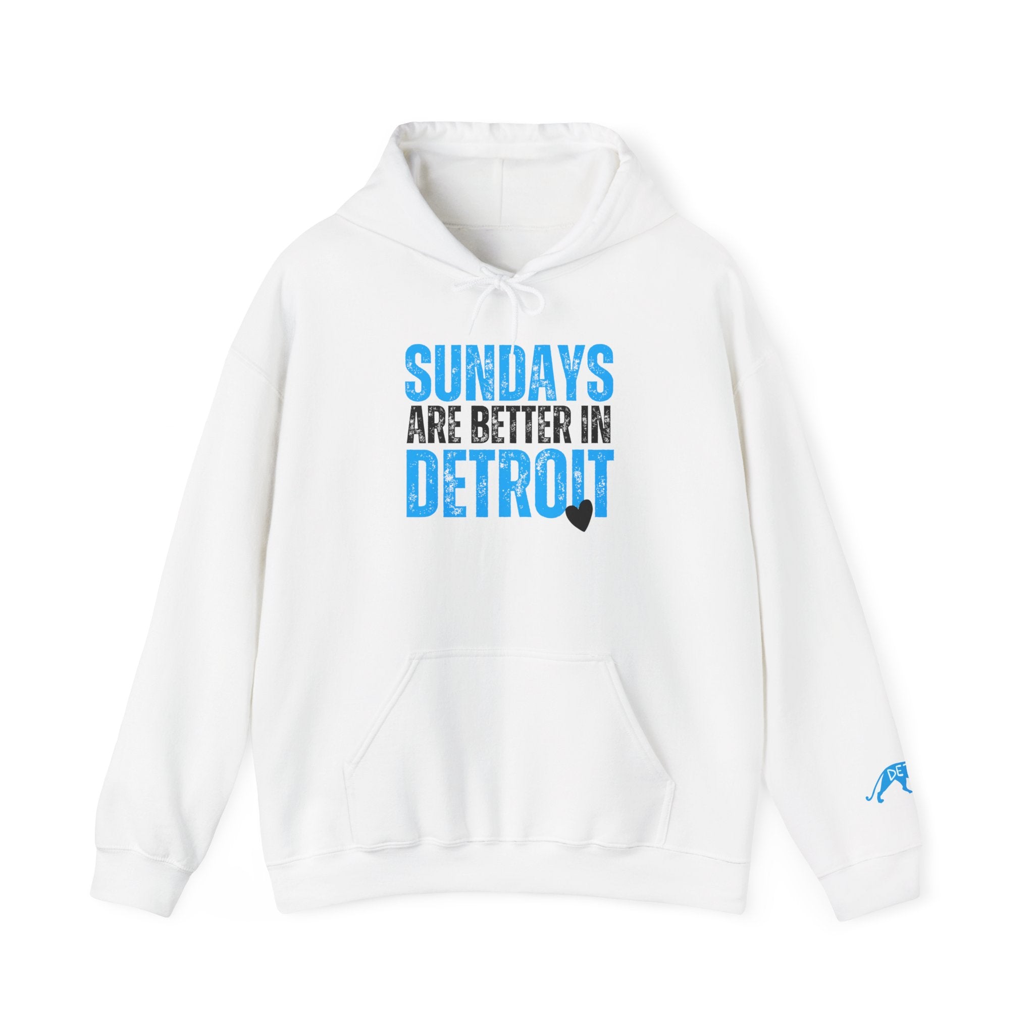 LIONS Sundays Are Better In Detroit Hoodie