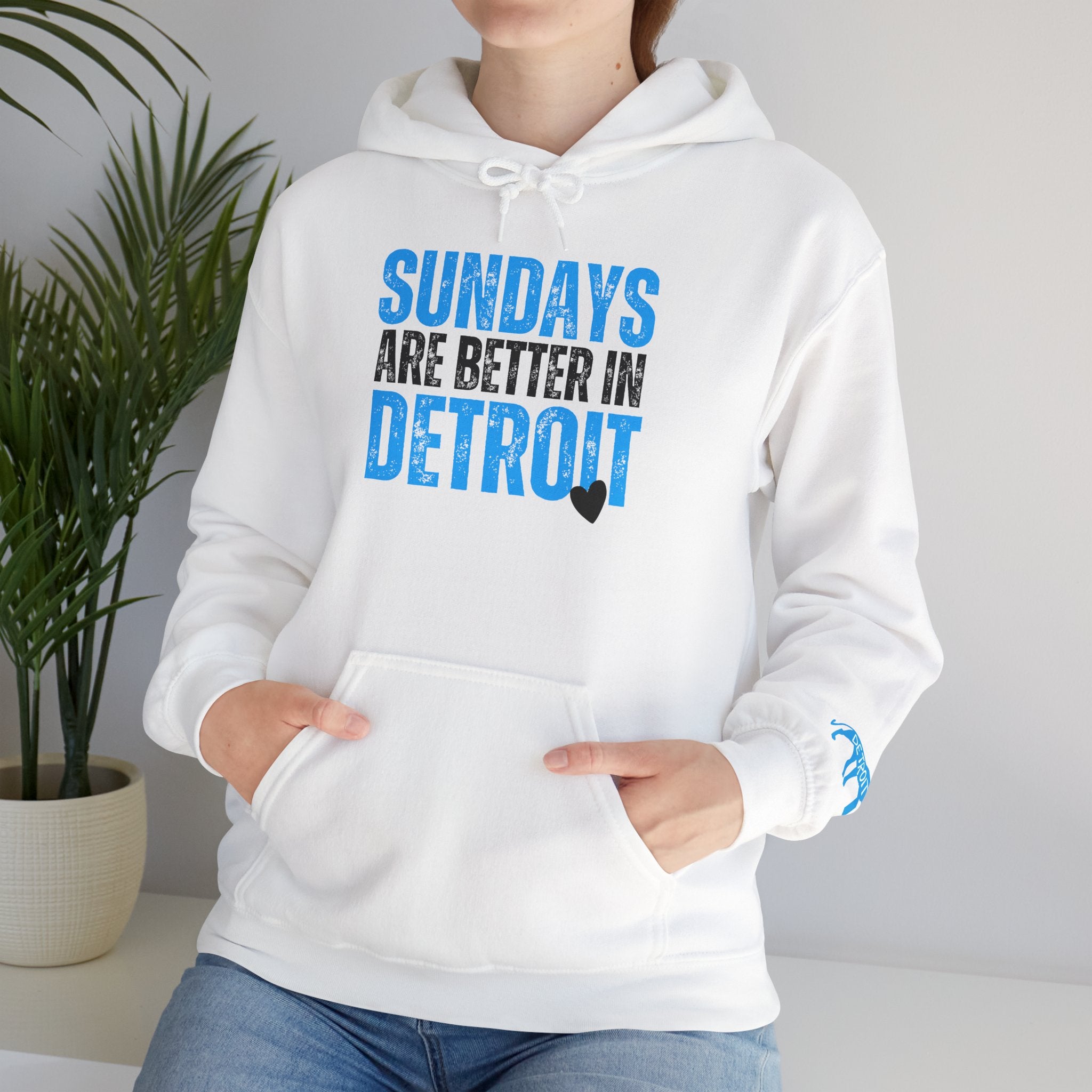 LIONS Sundays Are Better In Detroit Hoodie