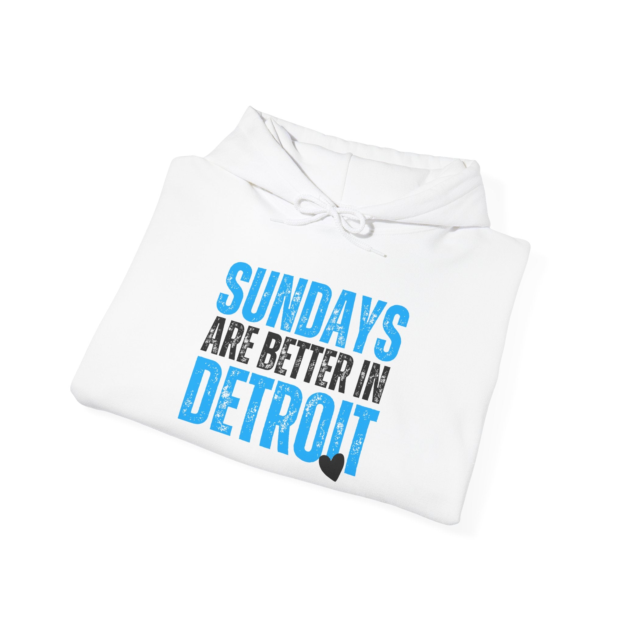 LIONS Sundays Are Better In Detroit Hoodie