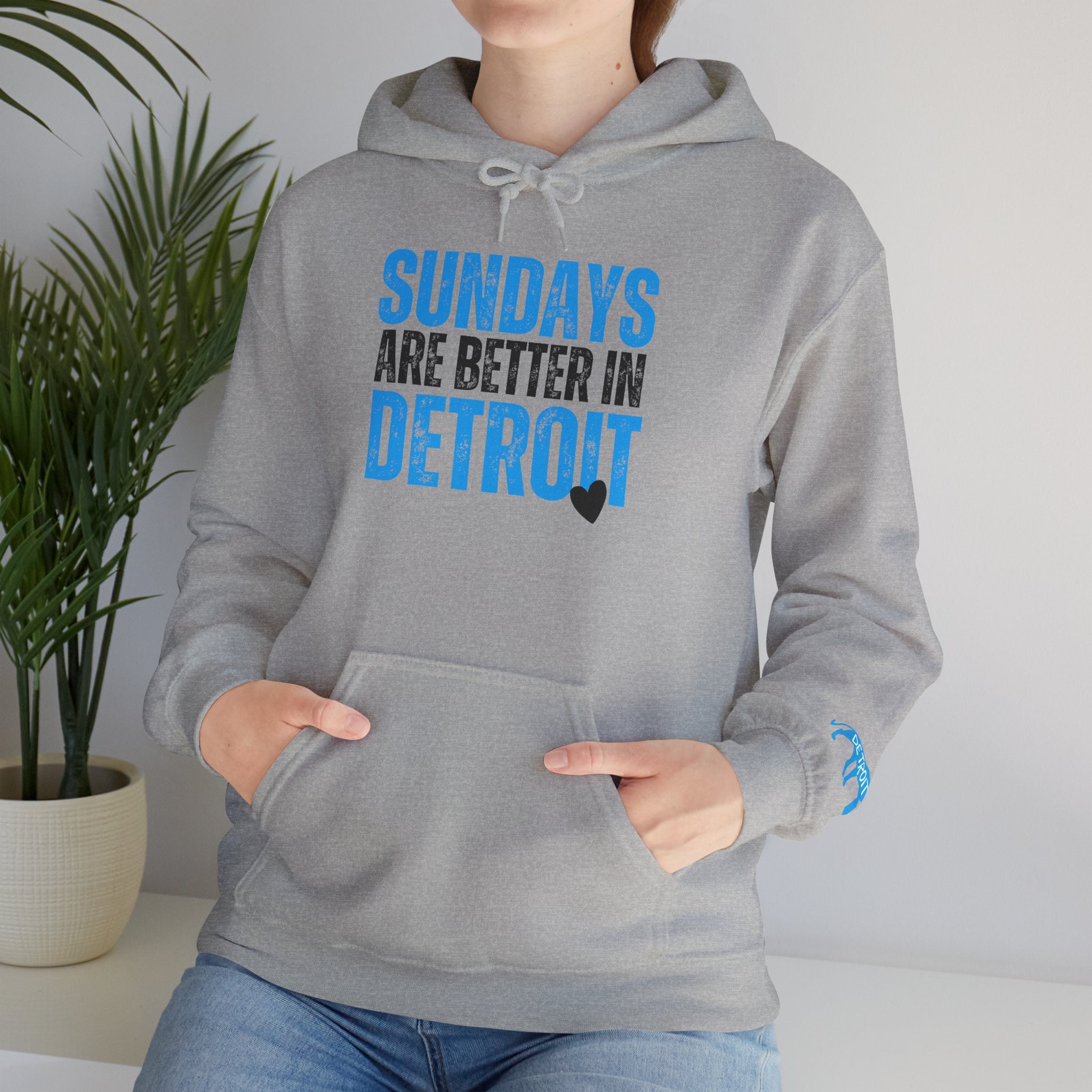 LIONS Sundays Are Better In Detroit Hoodie